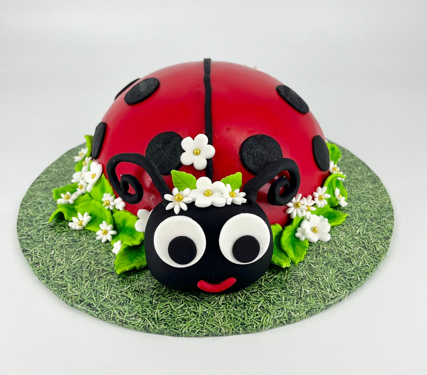 Ladybug